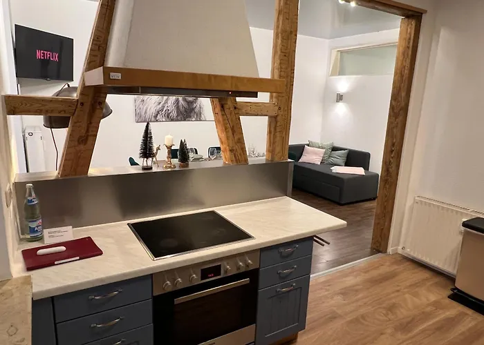 Appartement Humboldt 3 Schlafzimmer,wifi, Netflix Parken, Terrasse, Klimatisiert, Naehe Zentrum Jena