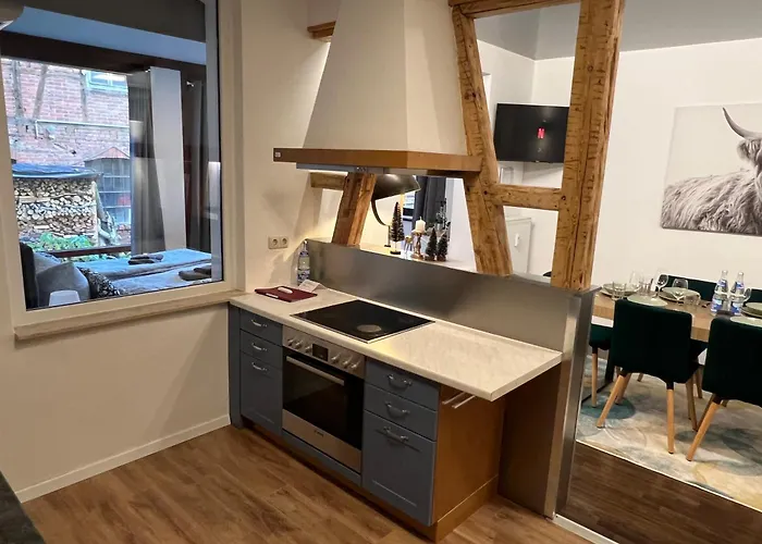 Appartement Humboldt 3 Schlafzimmer,wifi, Netflix Parken, Terrasse, Klimatisiert, Naehe Zentrum Jena